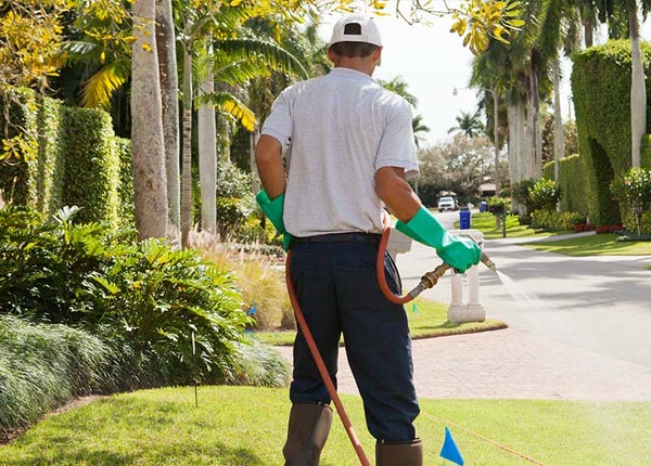 About Conifer CO Pest Control